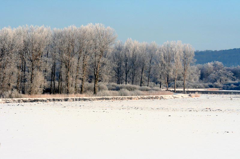 Killikus&reg; Fotographie